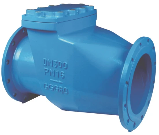 Swing Check Valve Double Flange Duct Iron Large Size